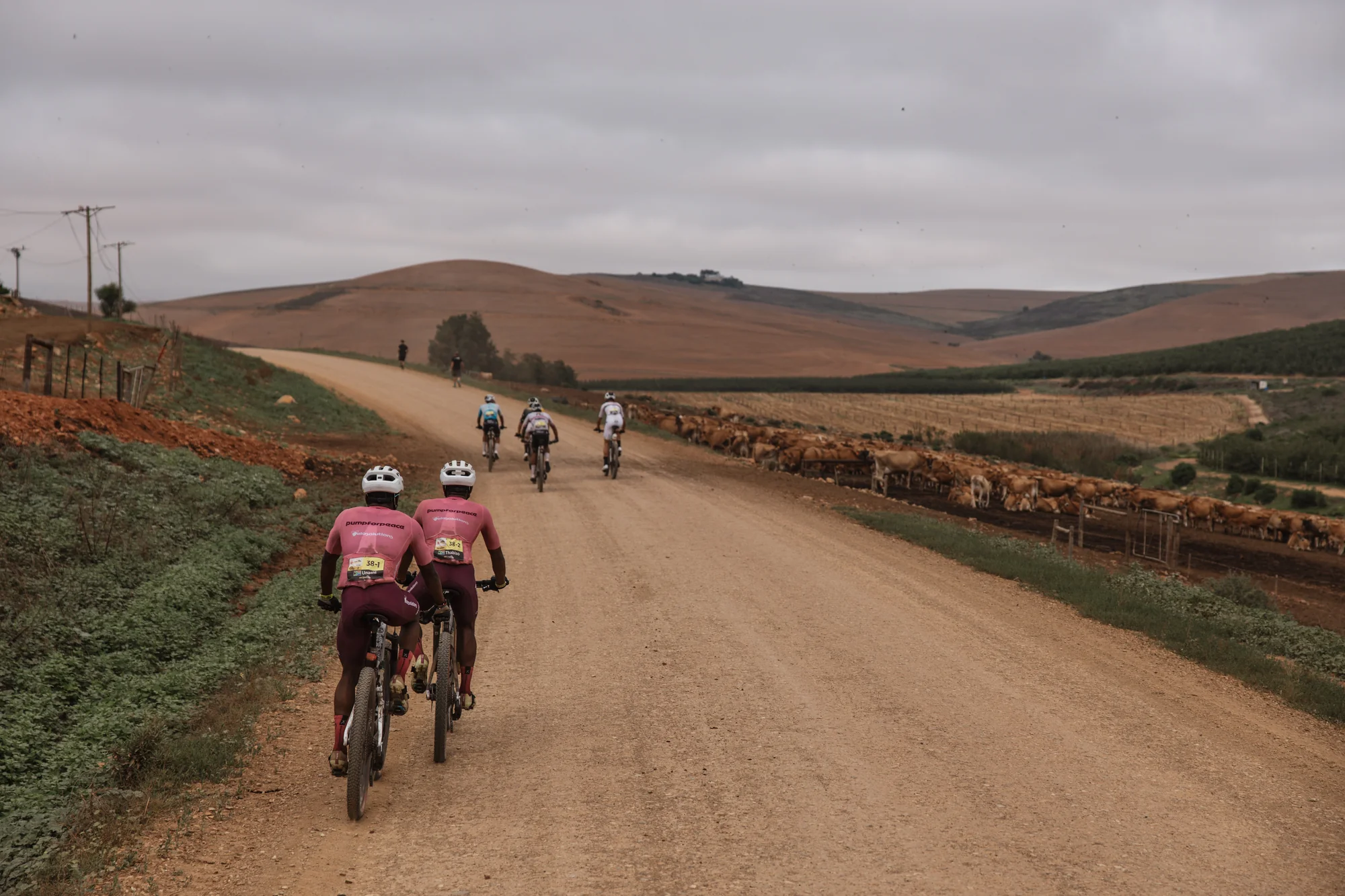 A wide gravel road, dawn light