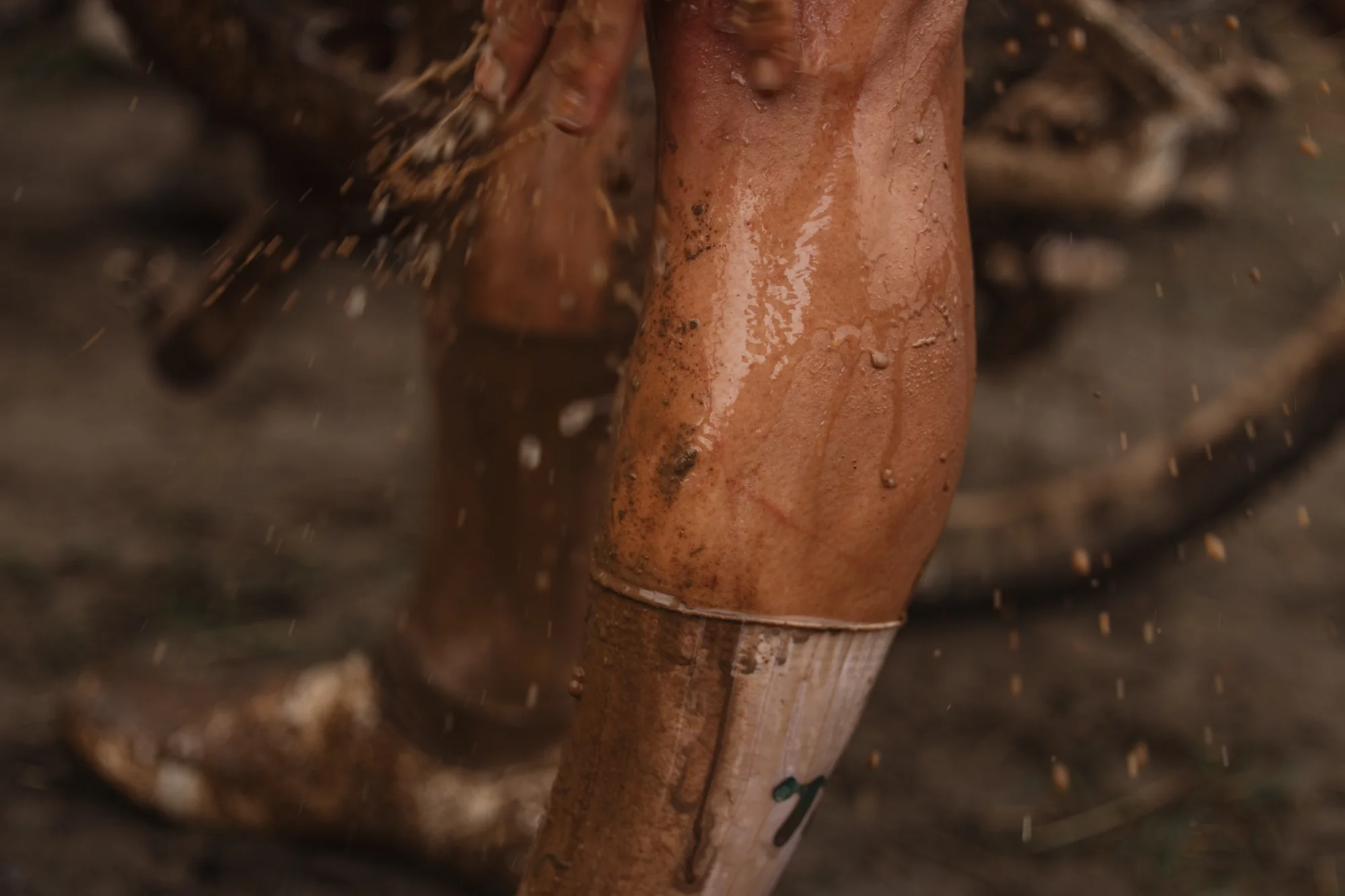 A rider celebrating, gold jersey