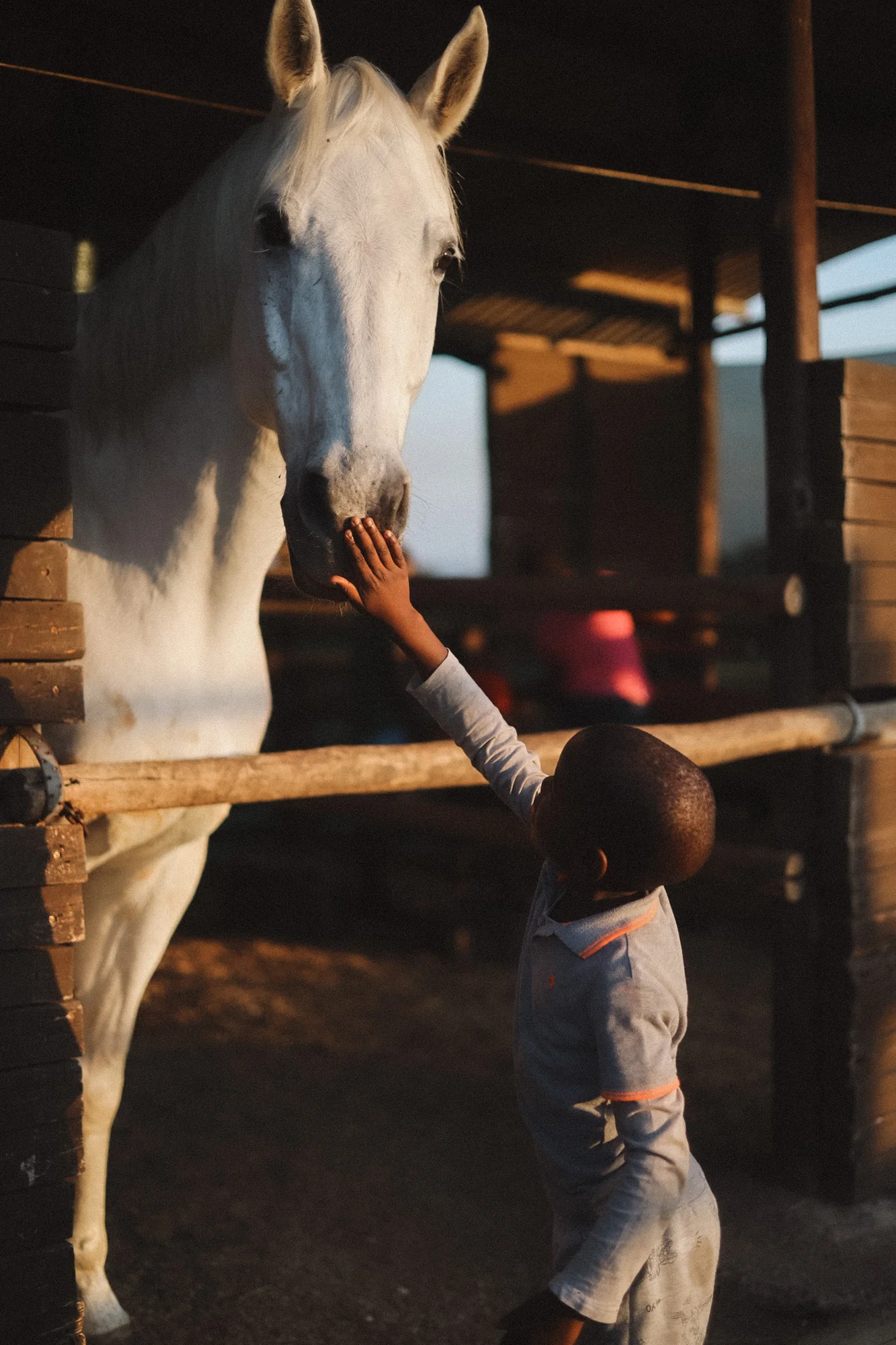 A child feeding a horse in the stable