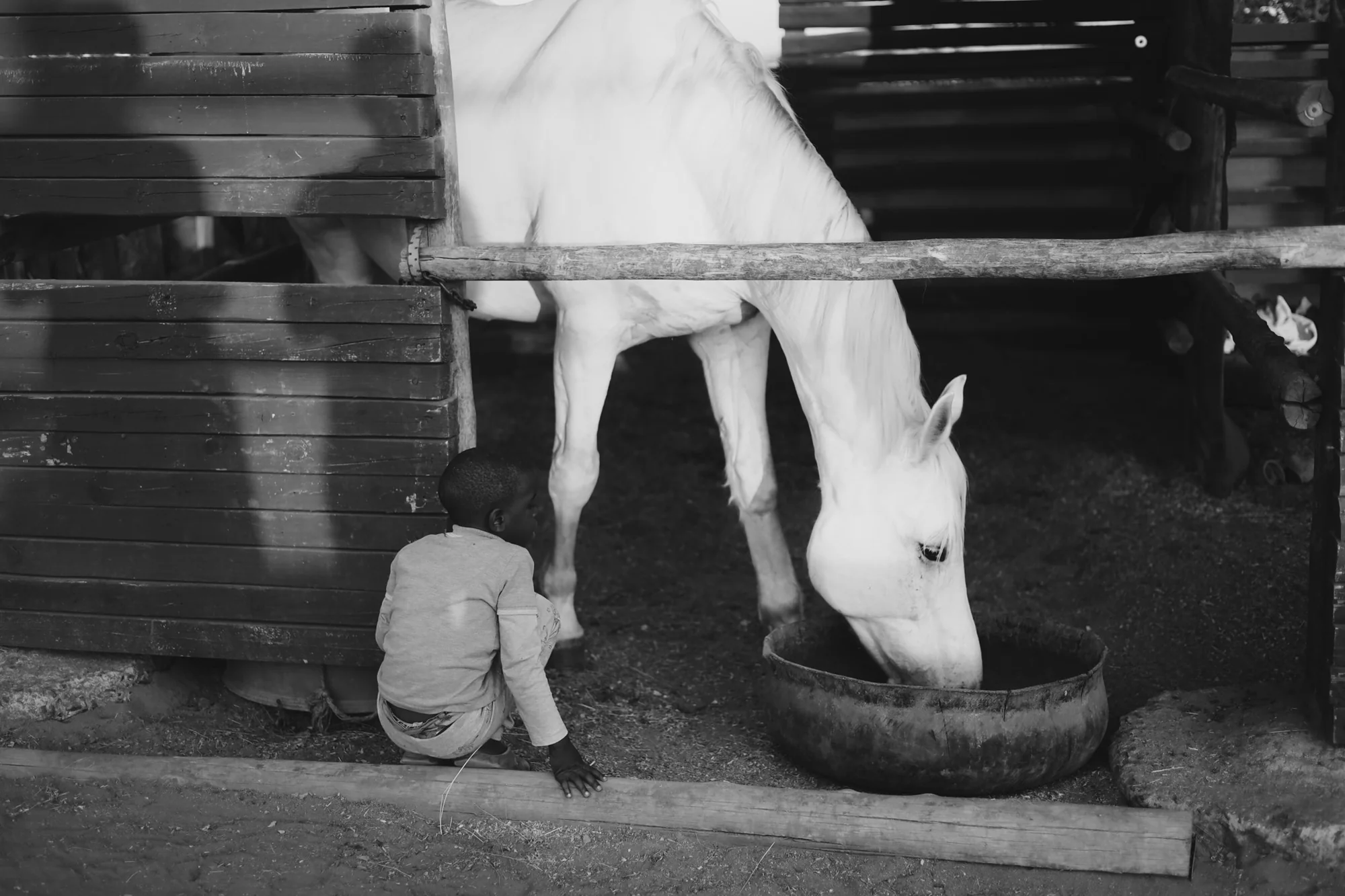 A child and a horse, black and white