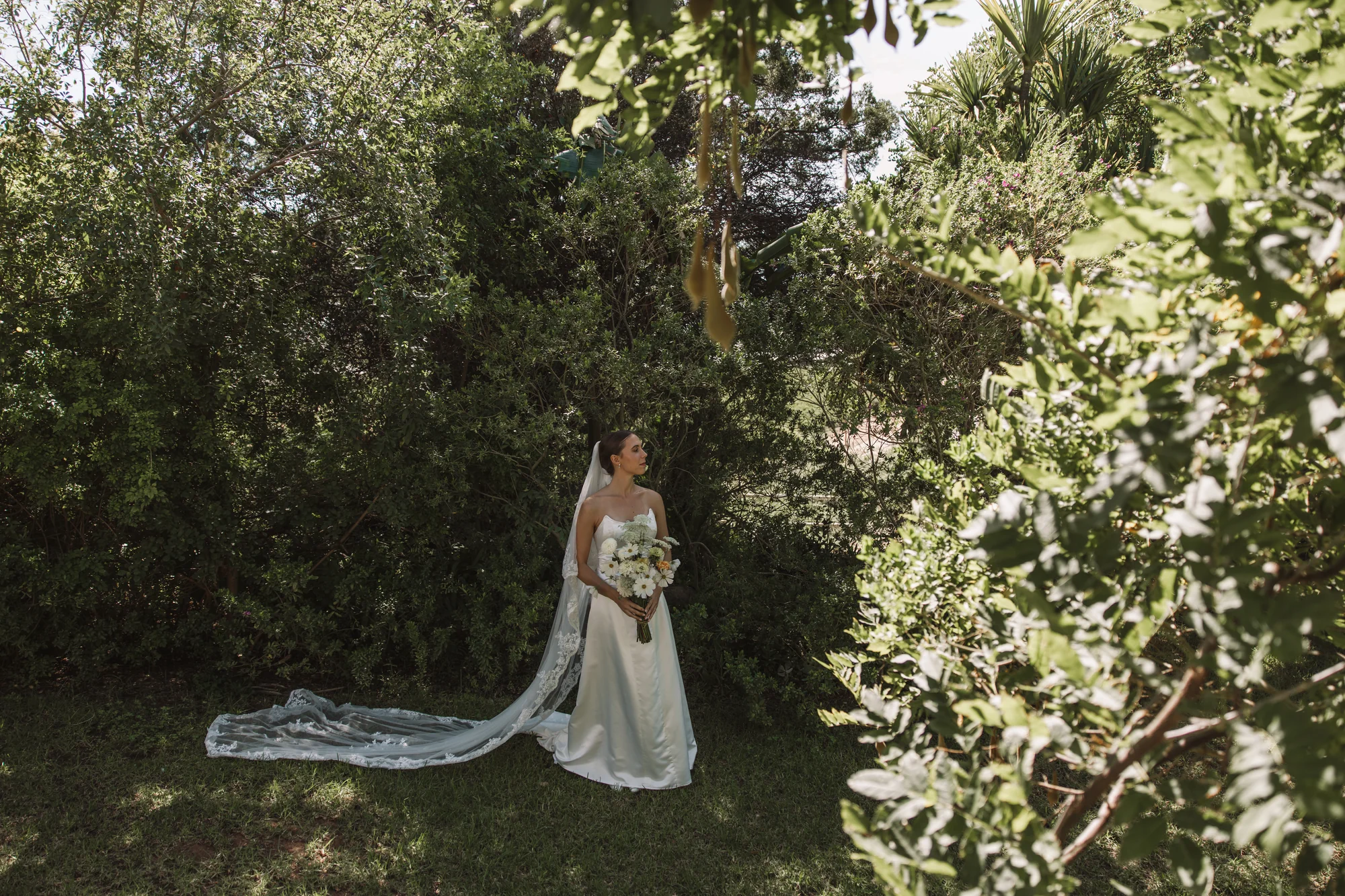 A wide view of the bride walking through the trees, train trailing